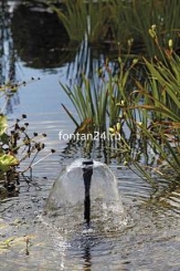 Фонтанная насадка Lava 20-5 K Фонтанная насадка Lava 20-5 K